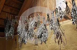 Drying herbs and spices