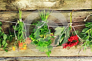 Drying herbs.