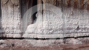 Drying Kuyalnik estuary. Crystals of self-precipitating salt on old boards of the 18th century salt industry. The ecological