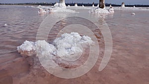Drying Kuyalnik estuary. Crystals of self-precipitating salt on stones. The ecological problem is drought. Ukraine