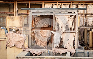 Drying Leather in Chouara Tannery, Fes, Morocco