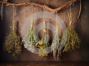 Drying medical herbs for use in alternative medicine photo