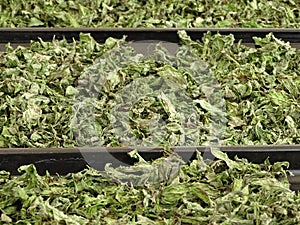 Drying mint at home, dried mints in big trays, drying mint