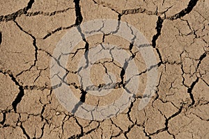 Drying mud cracks