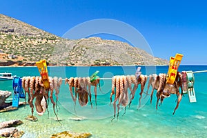 Drying octopus arms in a fishing port on Crete