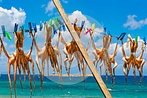 Drying octopus in Chania, Crete, Greece