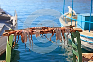 Drying octopus on Crete, Greece