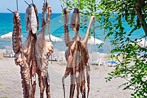 Drying Octopus. Rhodes, Greece