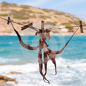 Drying octopus on sun. Crete, Greece.