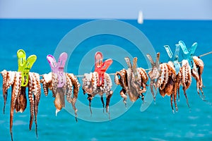 Drying the octopus in the sun in the seaside village of Plaka on