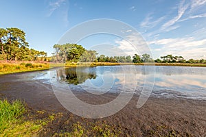 Drying out lake in the summer season