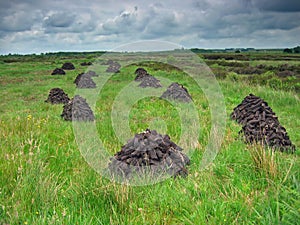 Drying peat