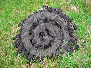 Drying peat