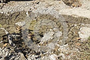 Drying pond of a riverbed