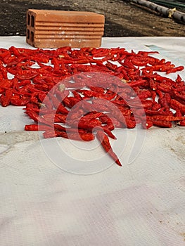 Drying Red Peppers on the rooftop, D4, HCMC, Vietnam