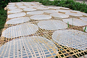 Drying rice paper