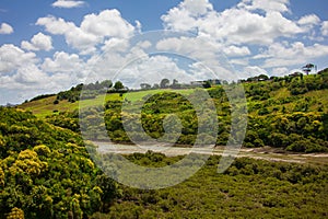 A drying river bed surrounded by thick vegetation and forest covered hills. Auckland, New Zealand