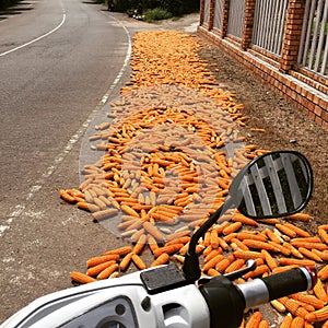 Drying roadside corn