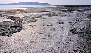 Drying salt lake in the Crimea, self-sedimentary salt on the silty shore of the lake