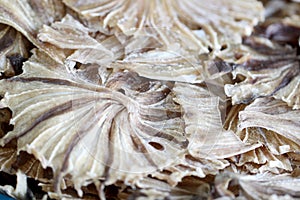 Drying sea fish in preservation of foods.