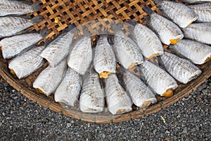 Drying snakeskin gourami fishes