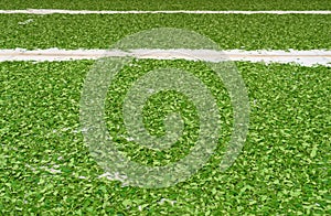 Drying tea leave focus on foreground