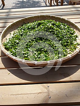 Drying tea leaves