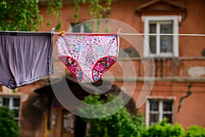 Drying underpants outdoors photo