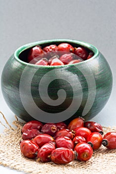 Drying Wild rose hip fruit