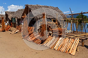 Drying wood behind hut, Madagascar