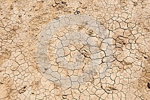 Dryland background. Dryland soil texture. Cracked dried dryland ground surface. Arid land