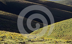 Dryland Hills in Spring