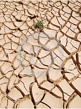 Dryness photo