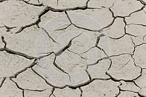 Dryness, dry ground in Corsica, France, Europe photo