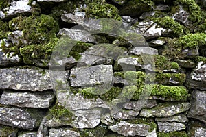 Drystone wall detail