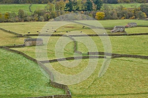 Drystone walled fields, with traditional stone barns. Gunnerside,Yorkshire Dales. photo