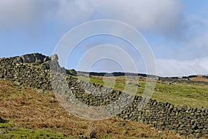 Drystone Walls leading up to small Crags of Gritstone on Burley and Ilkley Moors in West Yorkshire