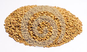 Fenugreek seeds macro close up shoot