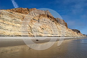 cliff at Torrey Pines beach