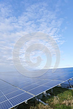 Blue solar cells in a solar panels power farm