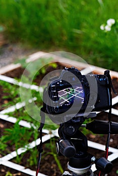 DSLR Camera Mounted On Tripod Taking Video Of Plants In Garden