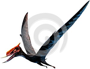 Dsungaripterus 3D illustration