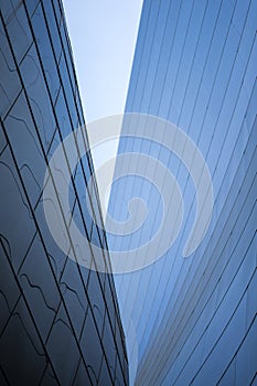 DTLA city skyline buildings widows