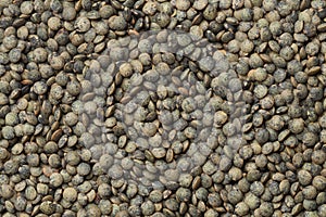 Du Puy lentils