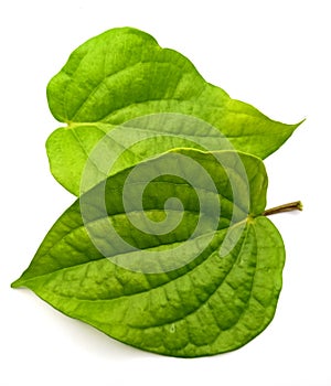 Dual Betel leaf opposite side