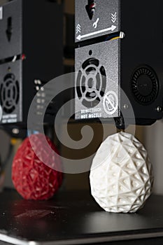 Dual extruder 3d printer which finished printing two bicolor egg model, idex technology