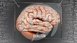Dualism in human brain