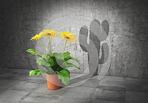 Duality concept. Metaphor of human essence. Vase with flower cast shadow in form of cactus. 3d photo