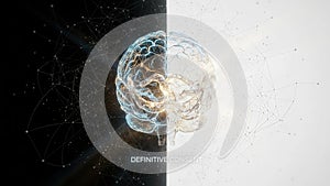 Duality of the Mind: Digital Brain and Neural Network Concept