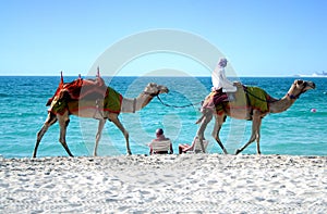 Dubai beach photo